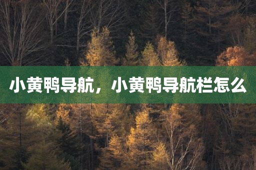 小黄鸭导航，小黄鸭导航栏怎么