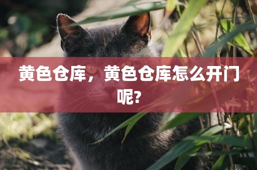 黄色仓库，黄色仓库怎么开门呢?