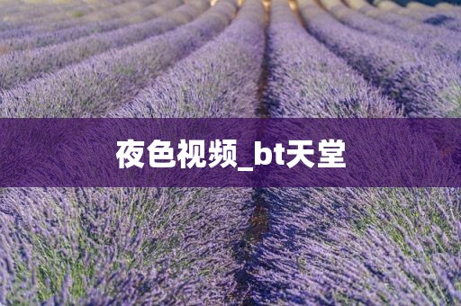 夜色视频_bt天堂