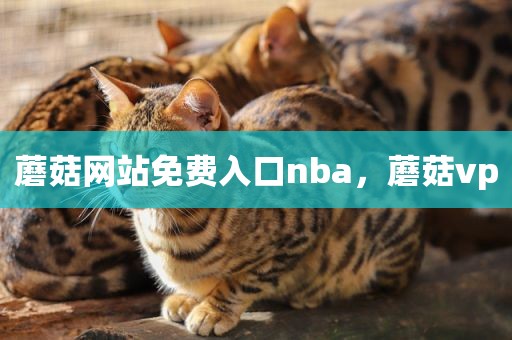 蘑菇网站免费入口nba，蘑菇vp