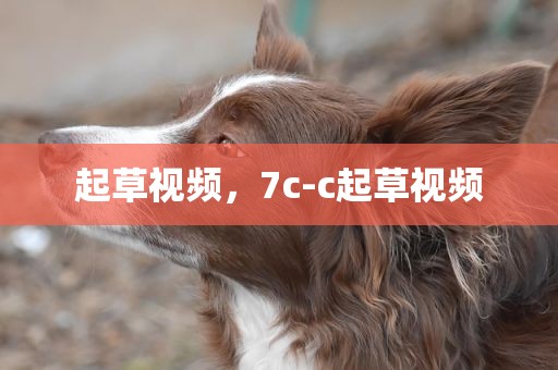 起草视频，7c-c起草视频