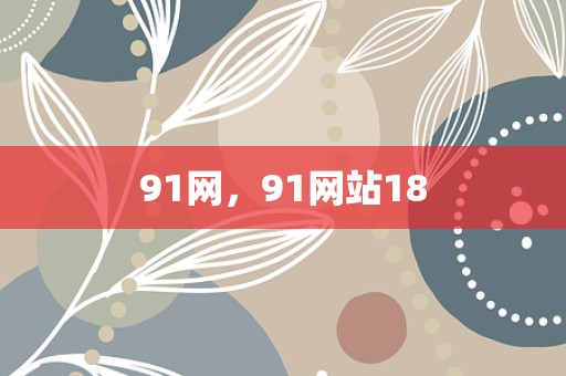 91网，91网站18
