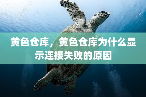 黄色仓库，黄色仓库为什么显示连接失败的原因