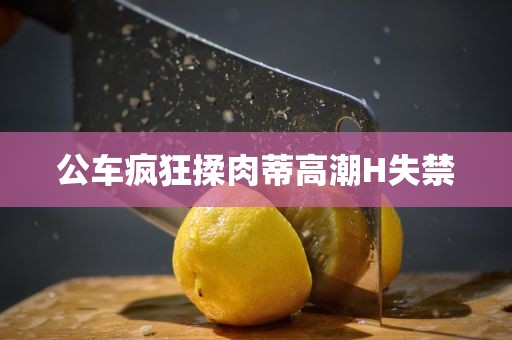公车疯狂揉肉蒂高潮H失禁