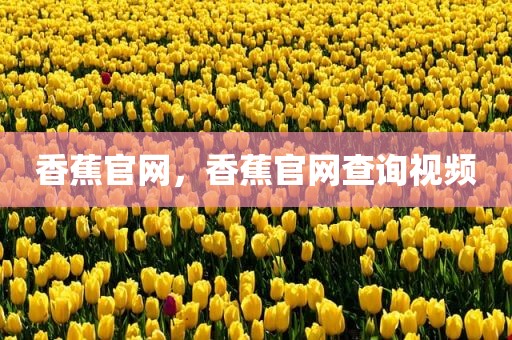 香蕉官网，香蕉官网查询视频