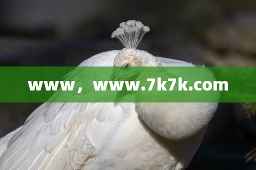 www，www.7k7k.com