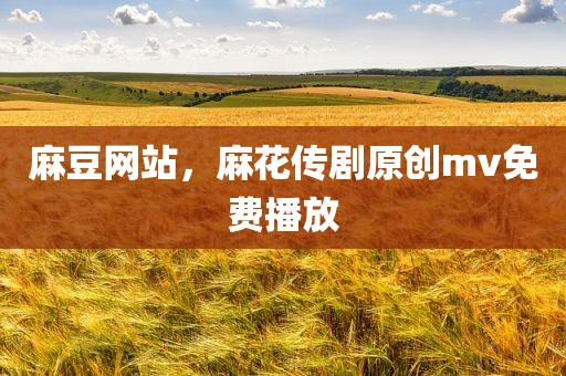 麻豆网站，麻花传剧原创mv免费播放
