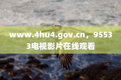 www.4hu4.gov.cn，95533电视影片在线观看