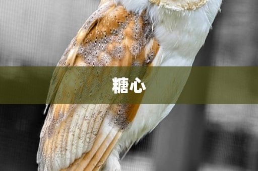 糖心
