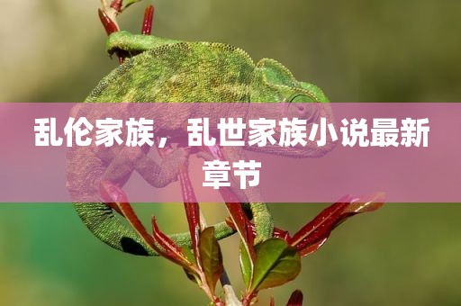 乱伦家族，乱世家族小说最新章节