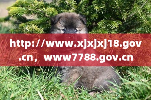 http://www.xjxjxj18.gov.cn，www7788.gov.cn