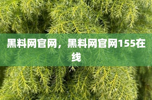 黑料网官网，黑料网官网155在线