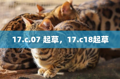 17.c.07 起草，17.c18起草
