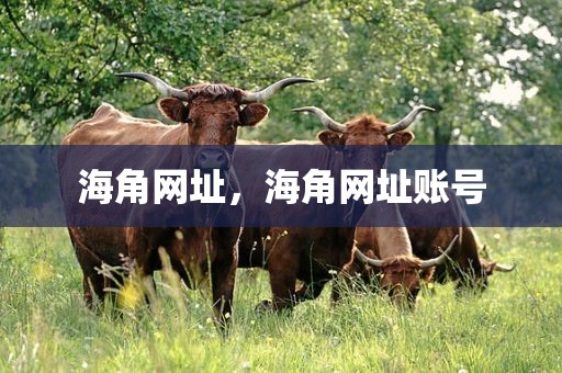 海角网址，海角网址账号