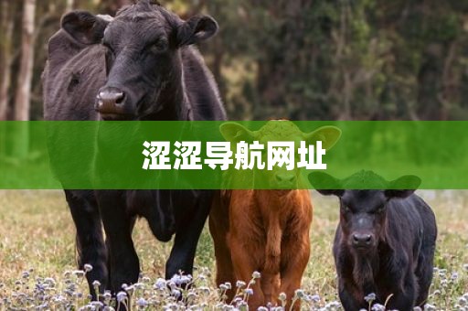 涩涩导航网址