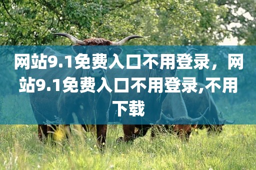 网站9.1免费入口不用登录，网站9.1免费入口不用登录,不用下载