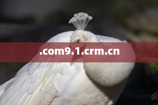 .com9.1.crm.cn