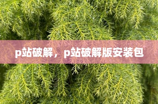 p站破解，p站破解版安装包