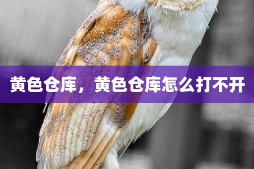 黄色仓库，黄色仓库怎么打不开