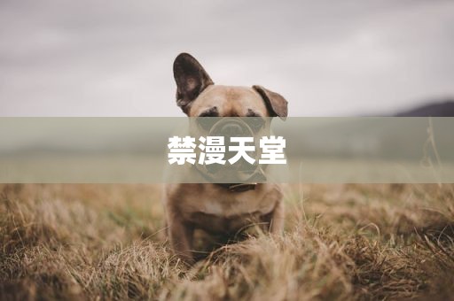 禁漫天堂