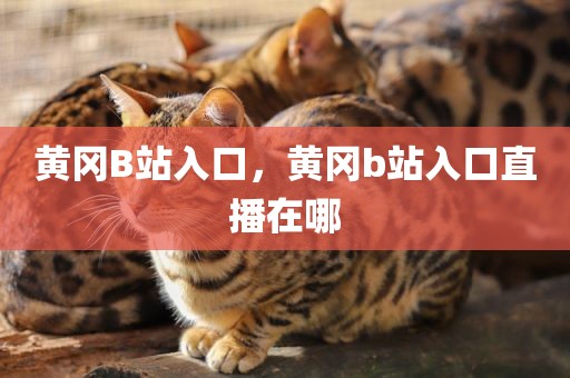 黄冈B站入口，黄冈b站入口直播在哪