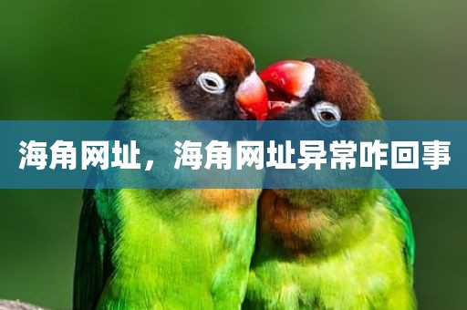 海角网址，海角网址异常咋回事