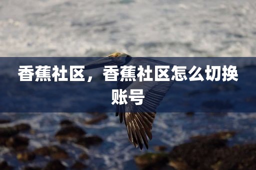 香蕉社区，香蕉社区怎么切换账号