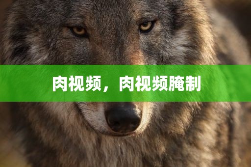 肉视频，肉视频腌制
