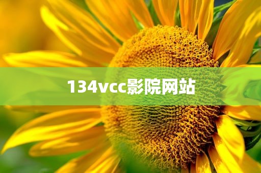 134vcc影院网站