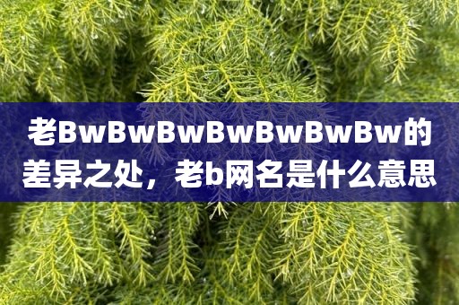 老BwBwBwBwBwBwBw的差异之处，老b网名是什么意思
