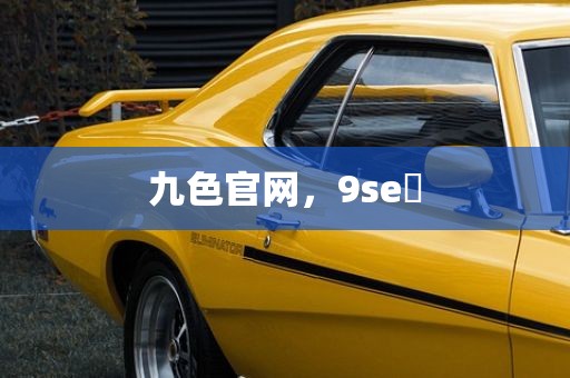 九色官网，9se 