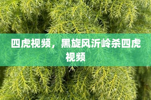 四虎视频，黑旋风沂岭杀四虎视频
