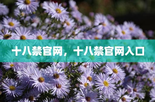 十八禁官网，十八禁官网入口