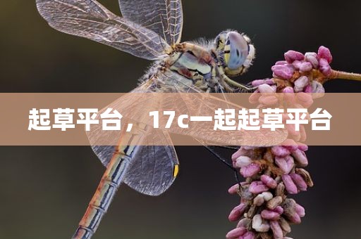 起草平台，17c一起起草平台