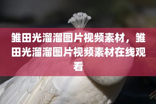 雏田光溜溜图片视频素材，雏田光溜溜图片视频素材在线观看
