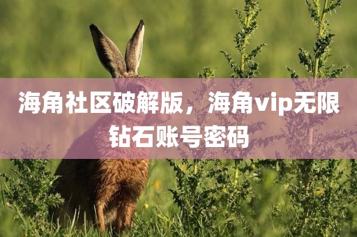 海角社区破解版，海角vip无限钻石账号密码