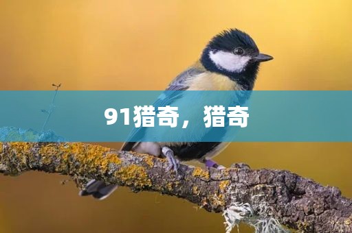 91猎奇，猎奇