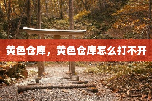 黄色仓库，黄色仓库怎么打不开