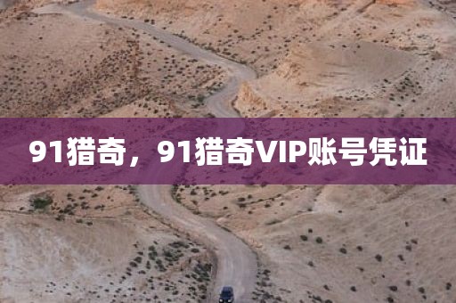 91猎奇，91猎奇VIP账号凭证