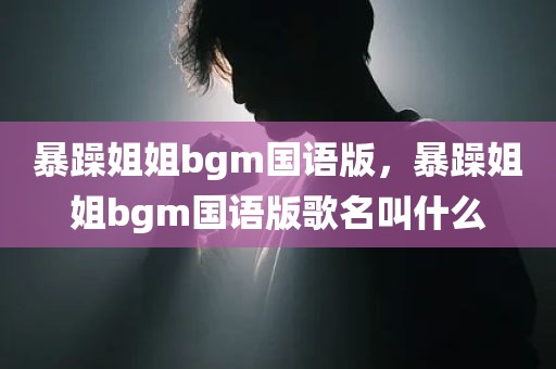暴躁姐姐bgm国语版，暴躁姐姐bgm国语版歌名叫什么