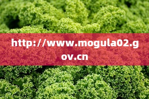 http://www.mogula02.gov.cn