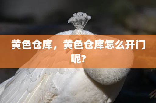 黄色仓库，黄色仓库怎么开门呢?