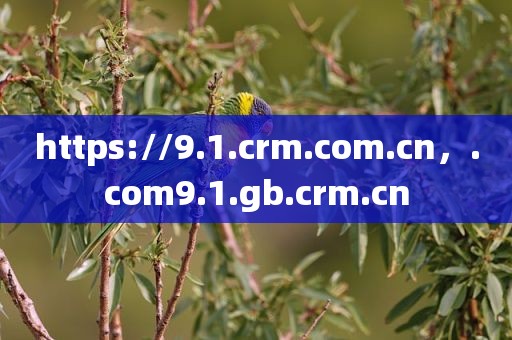 https://9.1.crm.com.cn，.com9.1.gb.crm.cn