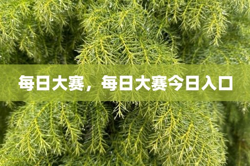 每日大赛，每日大赛今日入口