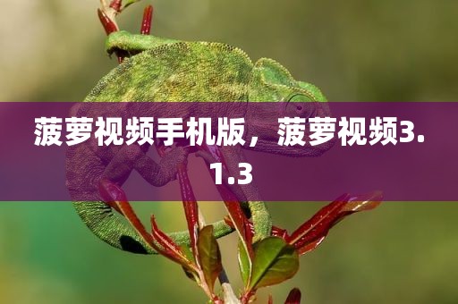 菠萝视频手机版，菠萝视频3.1.3