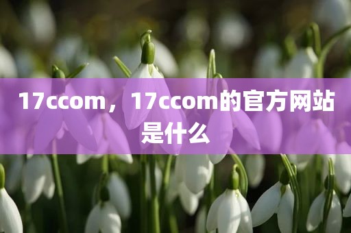 17ccom，17ccom的官方网站是什么