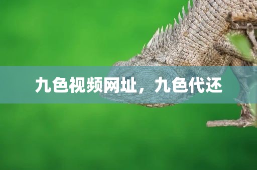 九色视频网址，九色代还