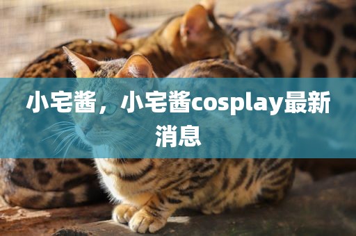 小宅酱，小宅酱cosplay最新消息