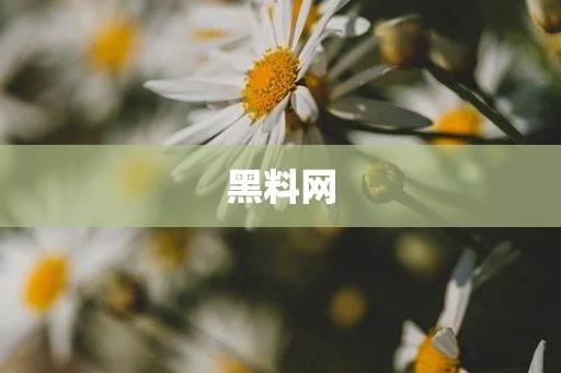 黑料网