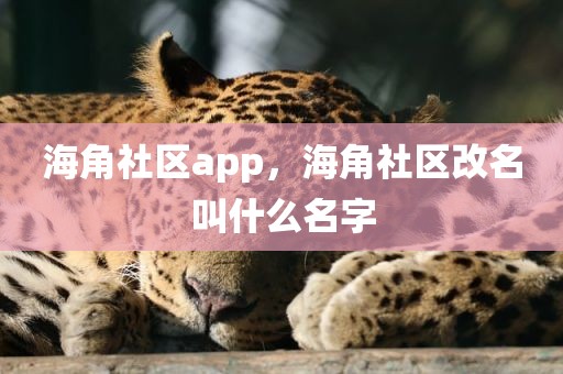 海角社区app，海角社区改名叫什么名字
